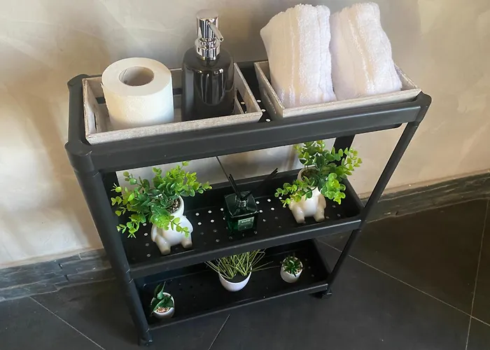 Luxury Design Apartment Rom
